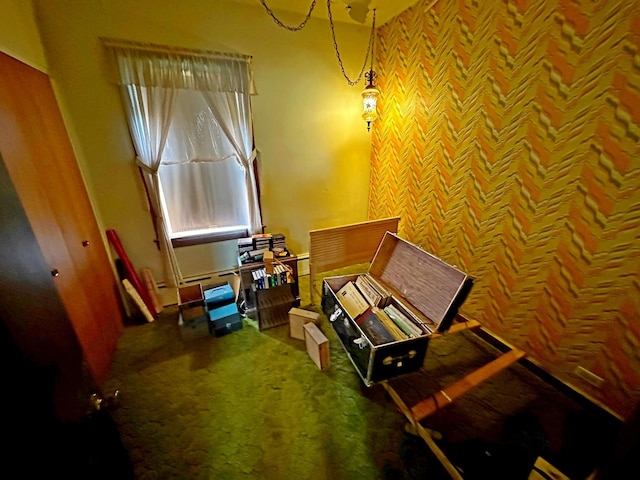 347 156th St, Calumet City, IL 60409 - miscellaneous room with carpet flooring