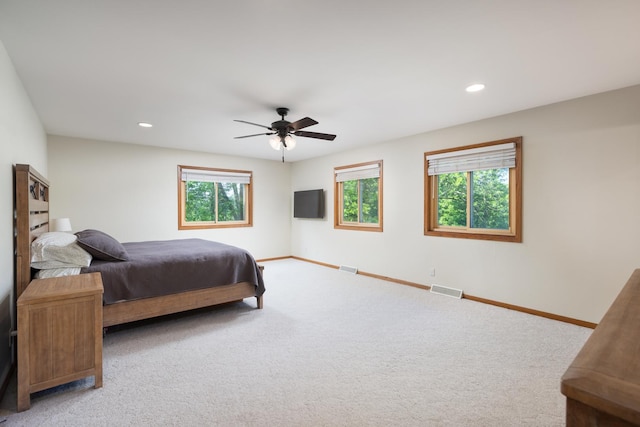 12 Pioneer Ct, Oswego, IL 60543 - photo 22