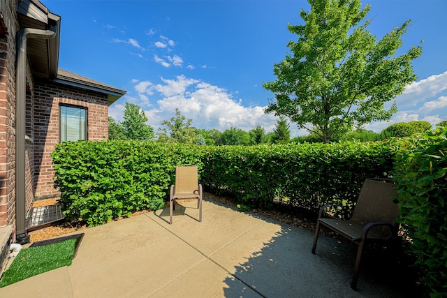 10749 Revere Cir, Mokena, IL 60448 - view of patio / terrace