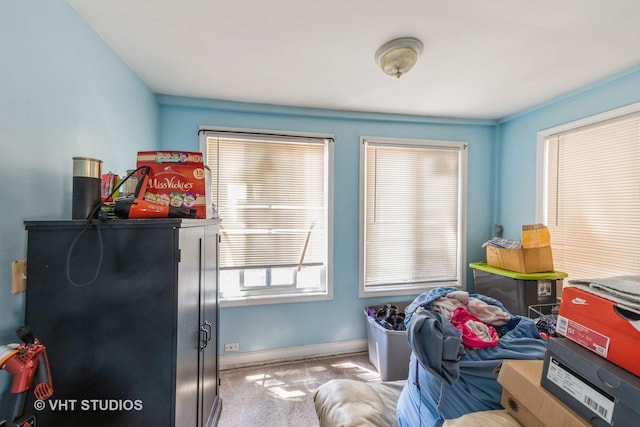 22 S Austin Blvd, Oak Park, IL 60302 - bedroom featuring carpet and baseboards