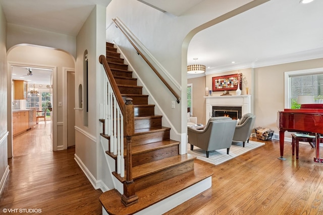 536 Fair Oaks Ave, Oak Park, IL 60302 - photo 4