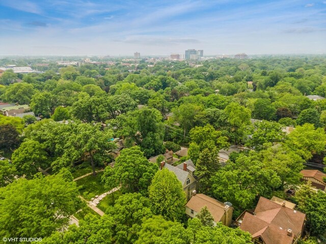 536 Fair Oaks Ave, Oak Park, IL 60302 - photo 46