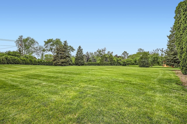 406 Lauder Ln, Inverness, IL 60067 - view of grassy yard