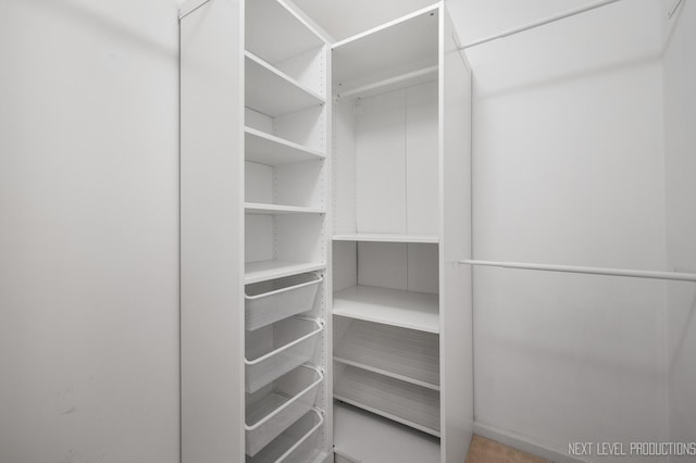 3023 Saganashkee Ln, Naperville, IL 60564 - view of spacious closet