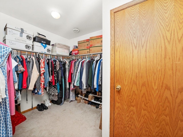 3445 W 114th St, Chicago, IL 60655 - walk in closet with carpet floors