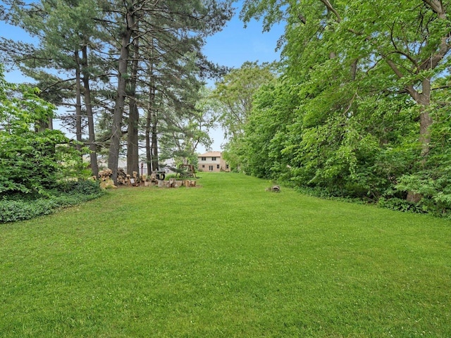 3445 W 114th St, Chicago, IL 60655 - view of green lawn