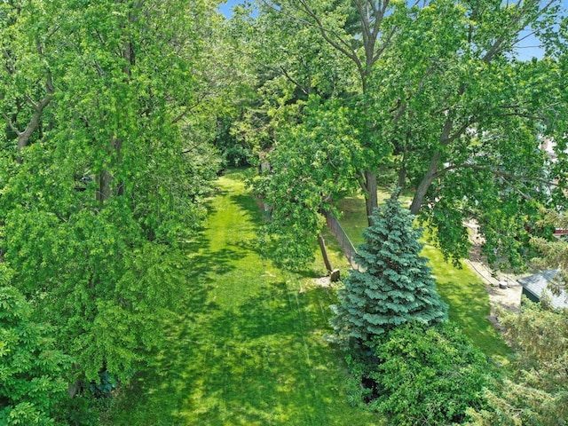 3445 W 114th St, Chicago, IL 60655 - view of local wilderness