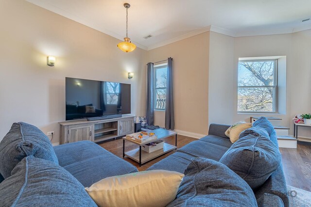 4520 S King Dr Unit 4B, Chicago, IL 60653 - living area featuring wood finished floors, ornamental molding, and baseboards