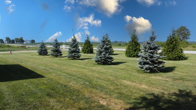 112 N St, Crescent City, IL 60928 - photo 22