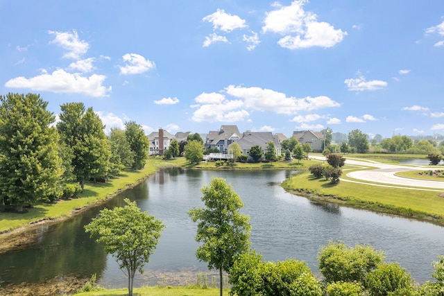 12433 Dublin Ln, Plainfield, IL 60585 - water view
