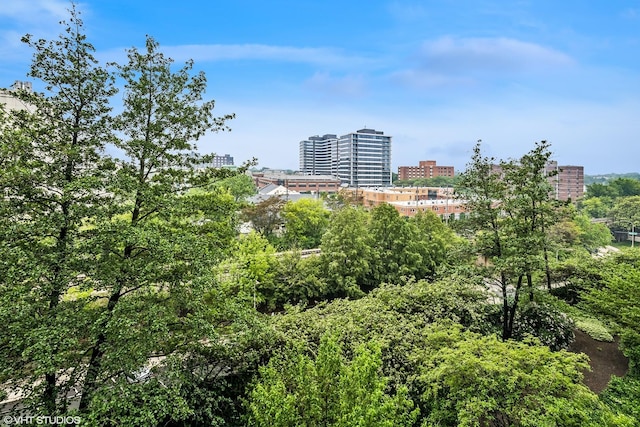 800 Elgin Rd Unit 806, Evanston, IL 60201 - view of city