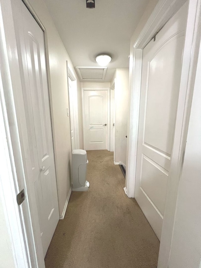 1S215 Stratford Ln, Villa Park, IL 60181 - corridor featuring carpet floors, attic access, and baseboards
