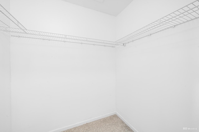 10651 Gabrielle Ln, Orland Park, IL 60462 - spacious closet featuring carpet flooring