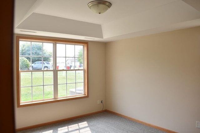 14635 Euclid St Unit D, Cedar Lake, IN 46303 - unfurnished room featuring plenty of natural light, baseboards, light colored carpet, and a raised ceiling