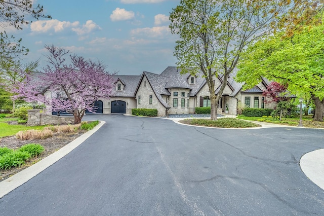 217 Haman Rd, Inverness, IL 60010 - view of asphalt road