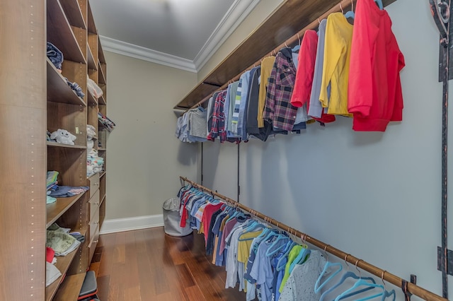 217 Haman Rd, Inverness, IL 60010 - walk in closet with wood finished floors