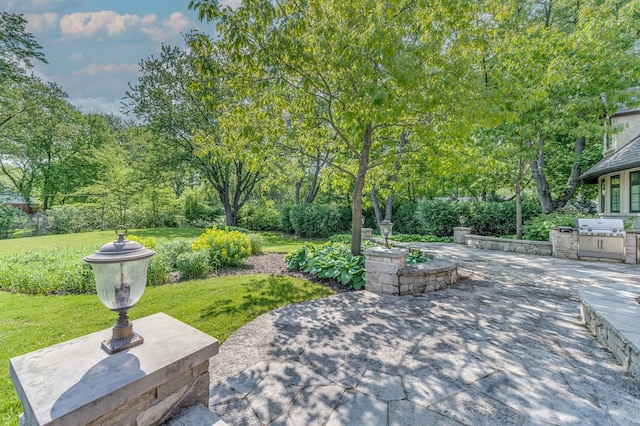 217 Haman Rd, Inverness, IL 60010 - view of patio / terrace