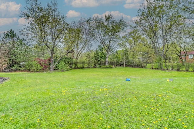 217 Haman Rd, Inverness, IL 60010 - view of green lawn