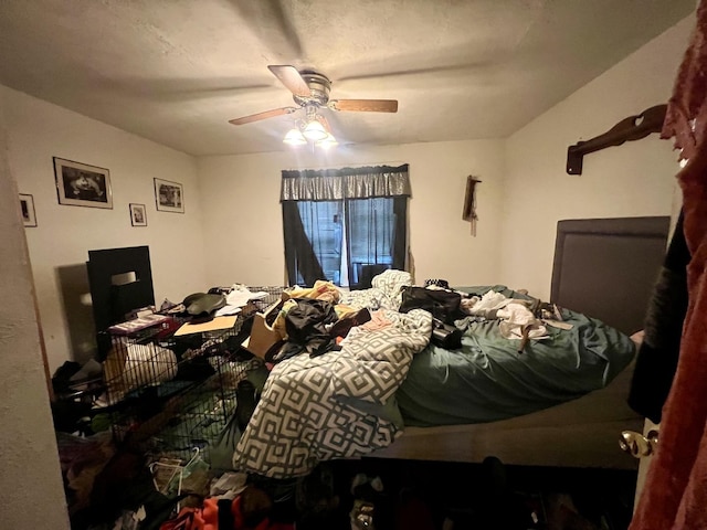 508 Alexander St, Paris, IL 61944 - photo 21