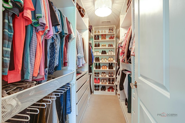 769 N Winchester Dr, Palatine, IL 60067 - walk in closet featuring light colored carpet