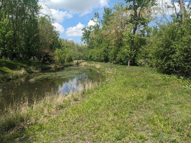 769 N Winchester Dr, Palatine, IL 60067 - water view with a heavily wooded area