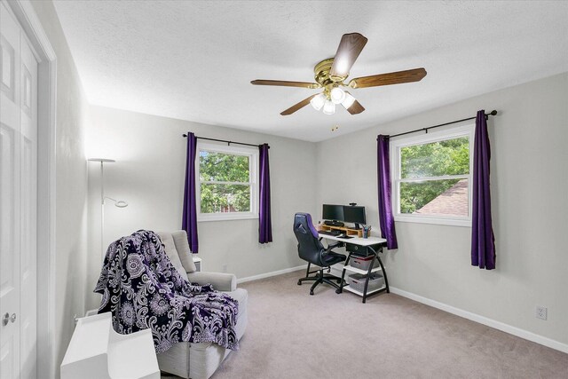 1803 Galena St, Urbana, IL 61802 - office area featuring carpet floors and ceiling fan