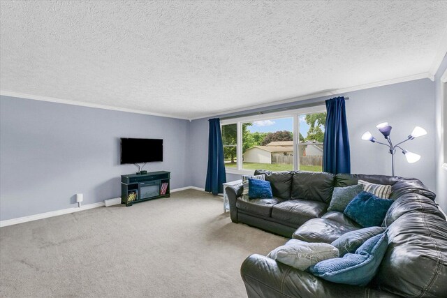 1803 Galena St, Urbana, IL 61802 - living area with carpet, crown molding, and a textured ceiling
