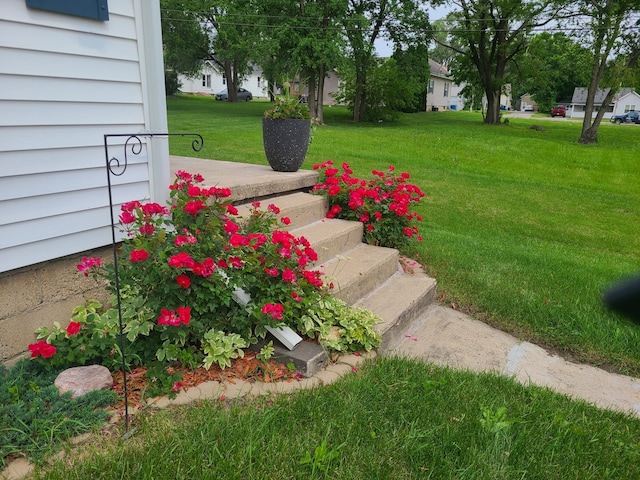 100 Watson Ave, Oglesby, IL 61348 - view of green lawn