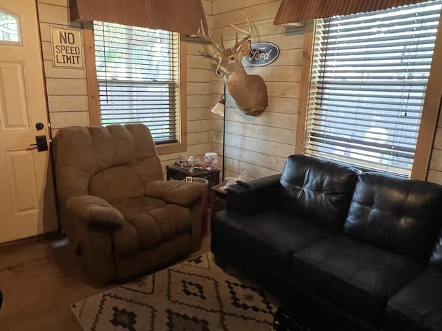 806 N Elizabeth St, Clinton, IL 61727 - living area featuring wood walls