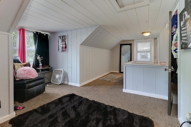 1003 S University St, Normal, IL 61761 - photo 17