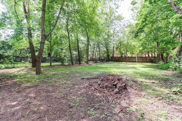 1003 S University St, Normal, IL 61761 - photo 26