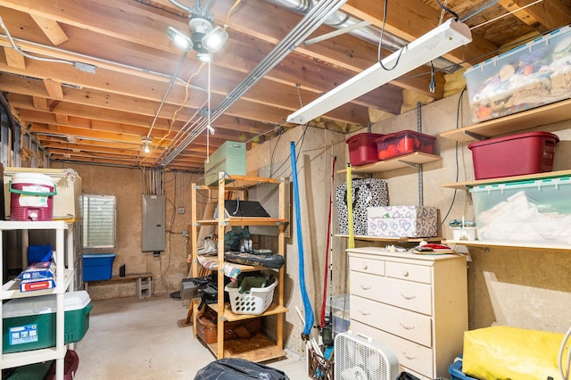 2715 Lahinch Dr, Aurora, IL 60503 - storage room with electric panel