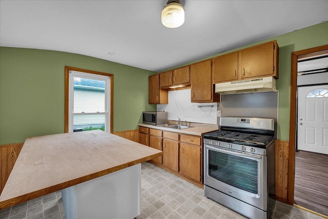 913 N Mason St, Bloomington, IL 61701 - kitchen with appliances with stainless steel finishes, under cabinet range hood, a sink, light countertops, and brown cabinetry