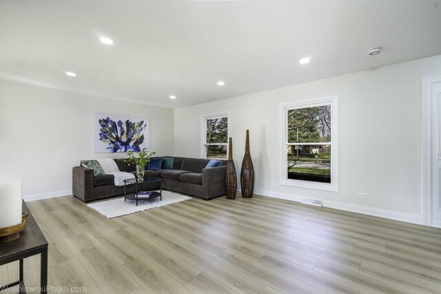 1319 Frederick Ln, Naperville, IL 60565 - photo 5