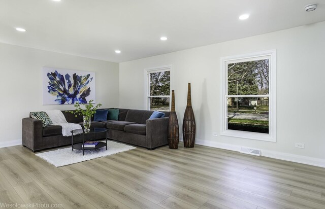 1319 Frederick Ln, Naperville, IL 60565 - photo 6