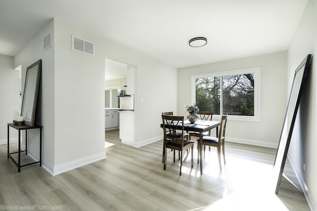 1319 Frederick Ln, Naperville, IL 60565 - photo 8