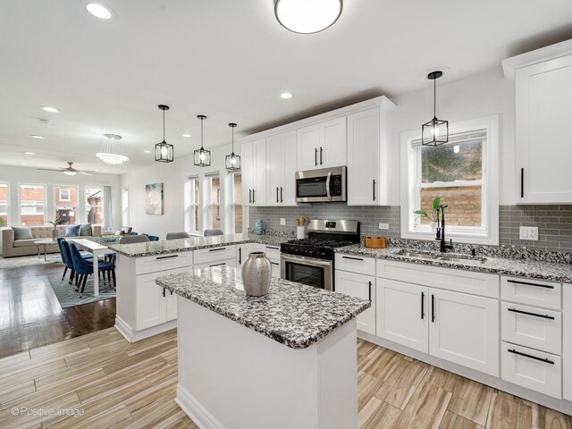 4821 W Crystal St, Chicago, IL 60651 - photo 7