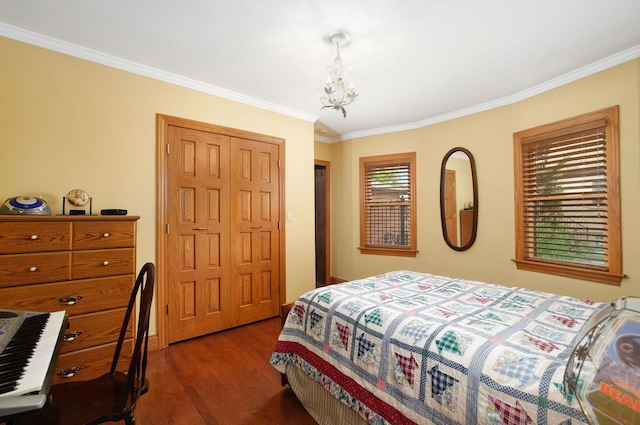 1902 N 77th Ct, Elmwood Park, IL 60707 - bedroom with dark wood-style floors, crown molding, a closet, and a chandelier