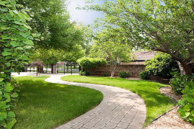 1902 N 77th Ct, Elmwood Park, IL 60707 - view of yard