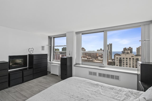 1255 N Sandburg Ter Unit 2912, Chicago, IL 60610 - bedroom featuring wood finished floors and a city view