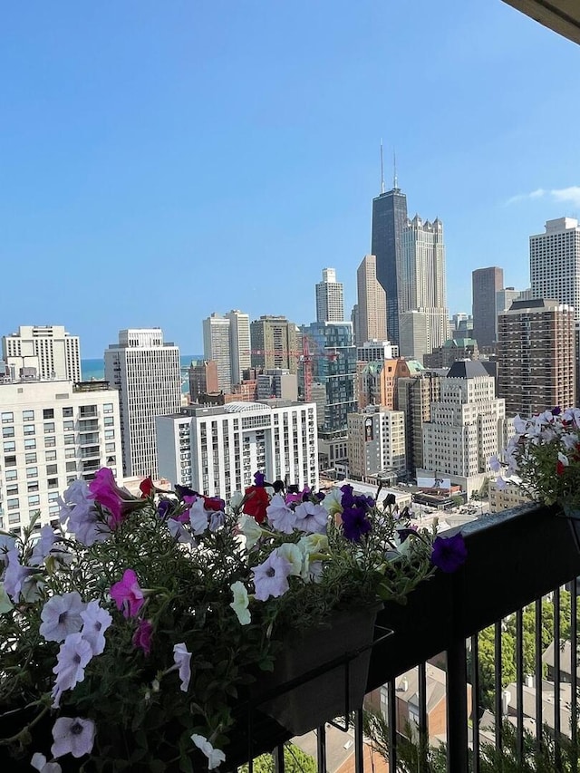 1255 N Sandburg Ter Unit 2912, Chicago, IL 60610 - view of city skyline