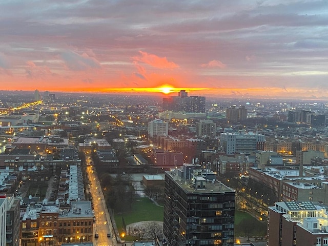 1255 N Sandburg Ter Unit 2912, Chicago, IL 60610 - city view
