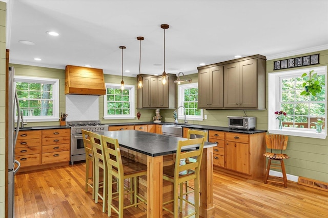 2804 E Concord Rd, Urbana, IL 61802 - kitchen with high end stove, custom range hood, light wood-style floors, dark countertops, and backsplash