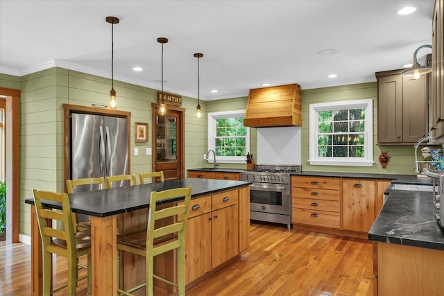 2804 E Concord Rd, Urbana, IL 61802 - kitchen with stainless steel appliances, premium range hood, dark countertops, crown molding, and light wood-style flooring