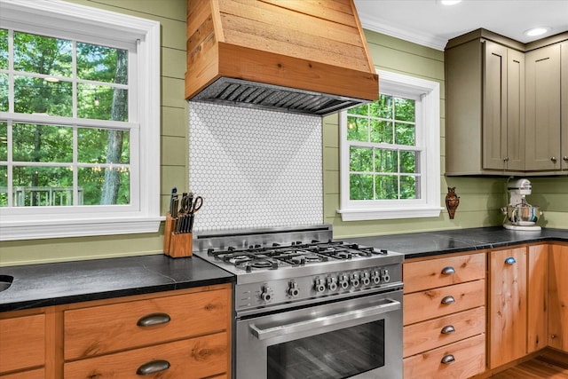 2804 E Concord Rd, Urbana, IL 61802 - kitchen featuring stainless steel stove, premium range hood, decorative backsplash, and dark countertops