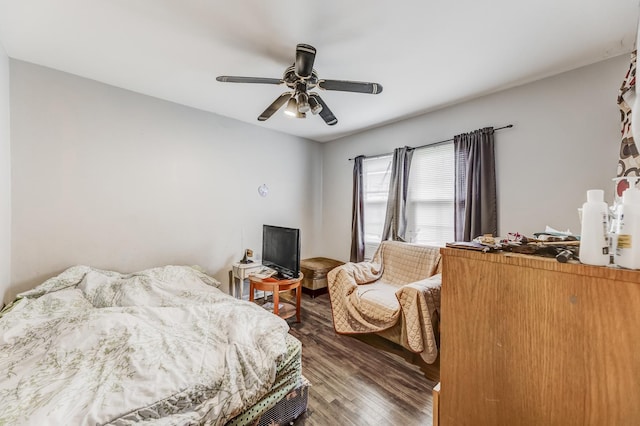 10215 S Kildare Ave, Oak Lawn, IL 60453 - photo 10