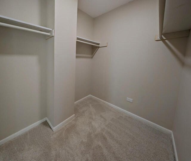 235 E Manchester Dr, Wheeling, IL 60090 - spacious closet with carpet flooring