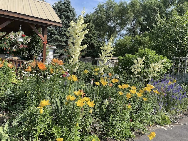 7011 Avon Ave, Oak Lawn, IL 60453 - view of yard