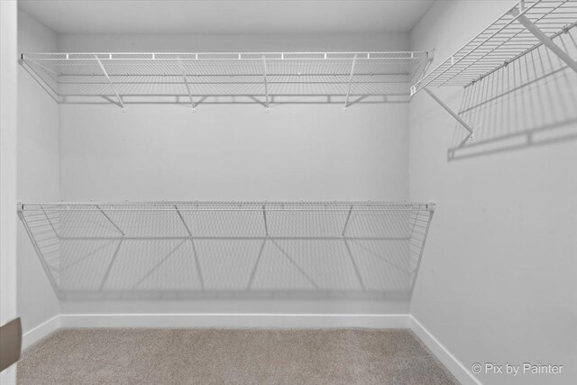 2093 Squire Cir, Yorkville, IL 60560 - walk in closet with carpet floors