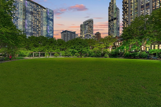 1515 S Prairie Ave Unit 1016, Chicago, IL 60605 - view of community with a city view and a yard
